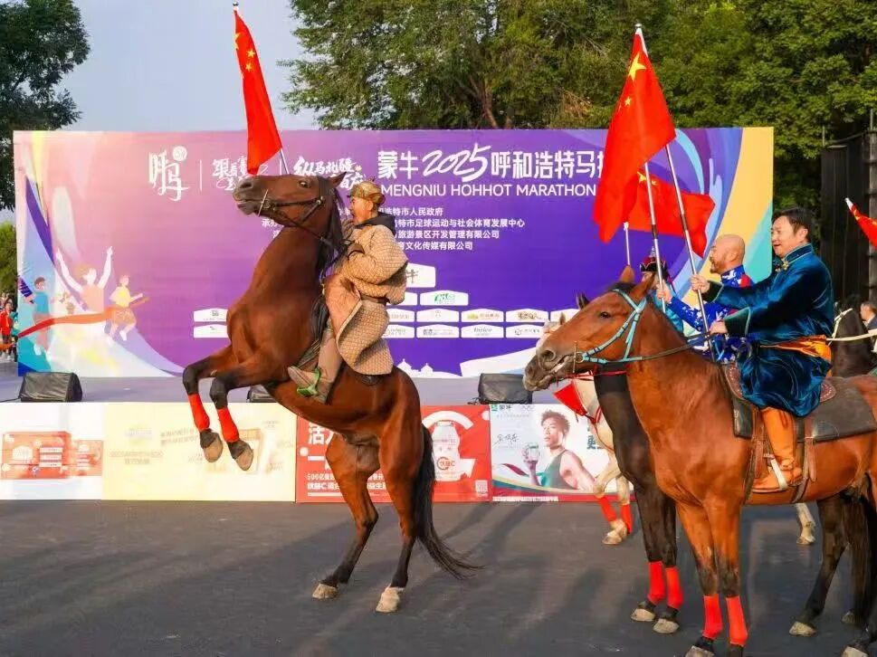 呼马-1.jpg 呼马-1.jpg